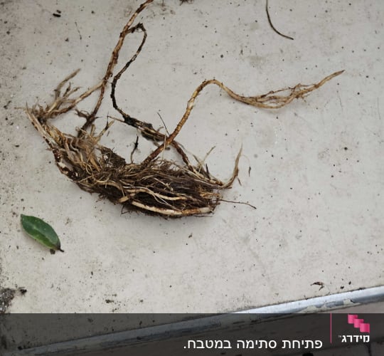 פתיחת סתימה במטבח.